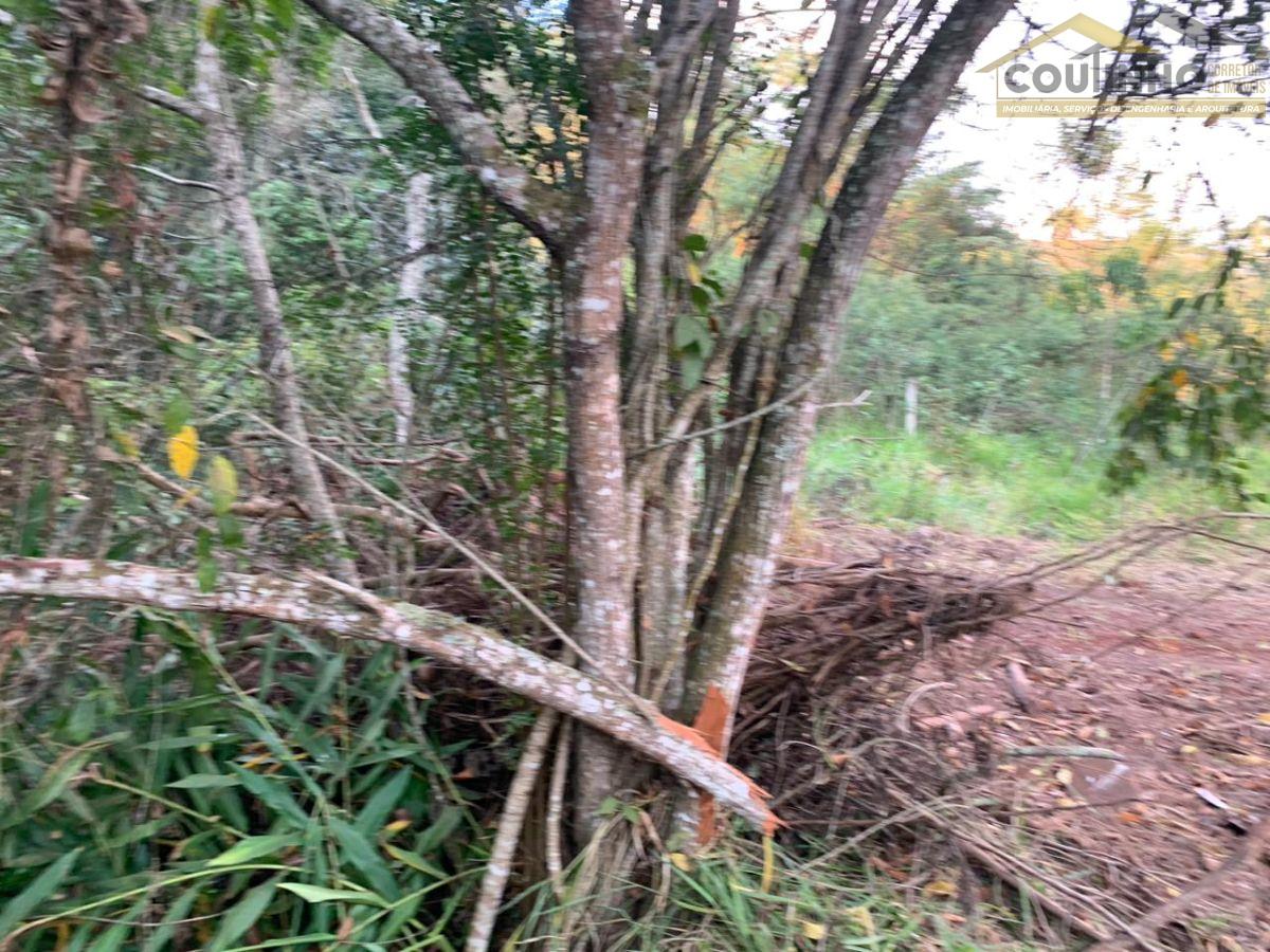 WhatsApp Image 2024-10-24 at 15.39.36 (2).jpeg